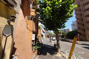 敷地南側の前面道路（西側から）