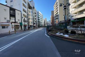 敷地北東側の前面道路(北西側から)