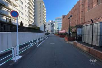 敷地南東側の前面道路(南西側から)
