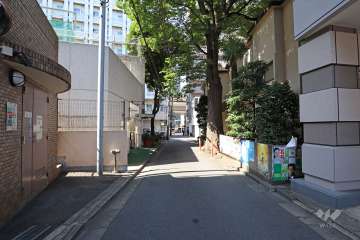 敷地東側の前面道路