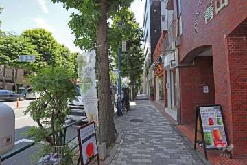 敷地北側の前面道路