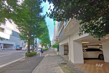 敷地東側の前面道路は明治通りです（北側から）