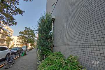 敷地北側の前面道路（西側から）