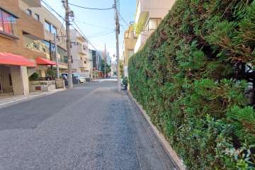 敷地南西側の前面道路（南東側から）