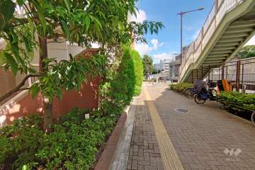 敷地東側の前面道路（南側から）