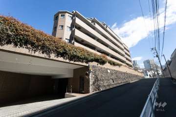 外観写真（南西側から）