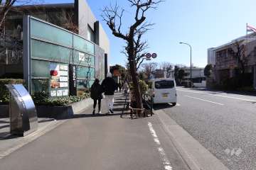 敷地南西側の前面道路（北西側から）