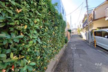 敷地北側の前面道路（北東側から）