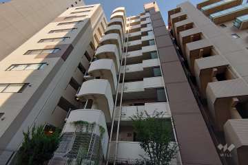 インフィニティ渋谷山手の外観（南東側から）