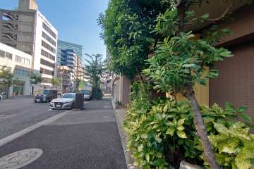 敷地北東側の前面道路（北西側から）