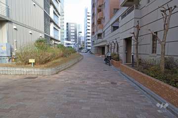 敷地北側の前面道路（西側から）