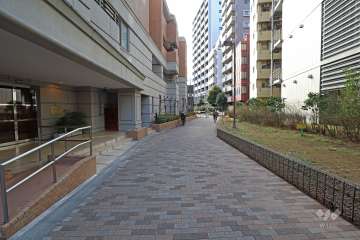 敷地北側の前面道路（東側から）