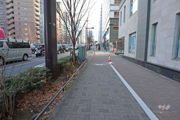 敷地東側の前面道路（北側から）