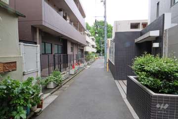 敷地南東側の前面道路（南西側から）