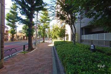 敷地西側の前面道路