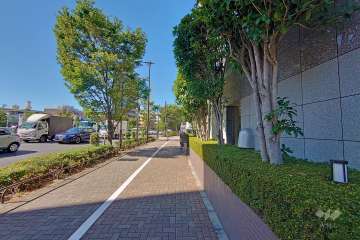 敷地西側の前面道路（南側から）