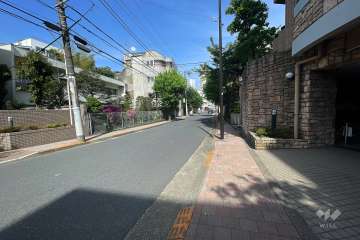 敷地北側の前面道路（西側から）