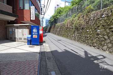 敷地の東側前面道路（南側から）