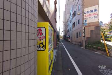 敷地北西側の前面道路（北東側から）