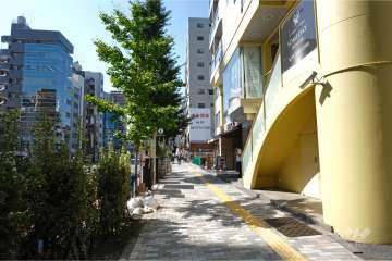 敷地南東側の前面道路（北東側から）