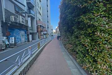 敷地南西側の前面道路（南東側から）