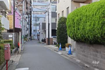 敷地の南東側前面道路（北東側から）