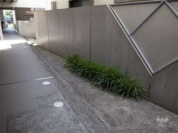 敷地内の通路