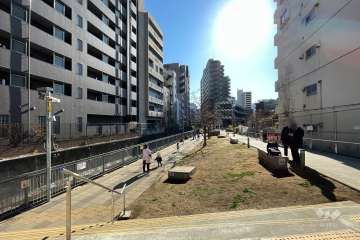 マンション近くの公園