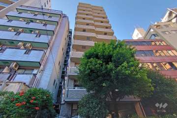 アイディーコート新宿西ディアナの外観（南西側から）