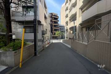 敷地東側の前面道路（南側から）