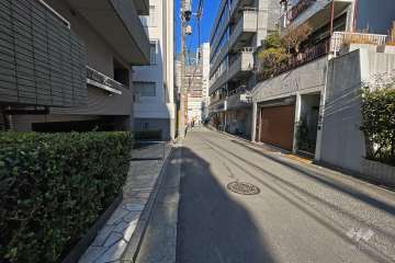 敷地南西側の前面道路（南東側から）