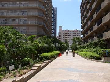 植栽スペースの緑がきれいな敷地南側の通路