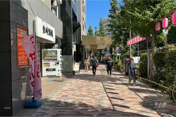 敷地南東側の前面道路（南西側から）