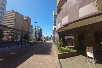 敷地南西側の前面道路（南東側から）