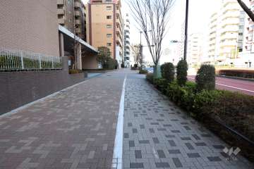 敷地東側の前面道路