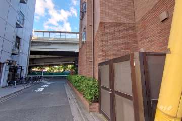 敷地東側の前面道路（北側から）