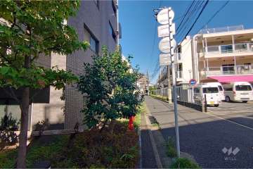 敷地南東側の前面道路（南西側から）