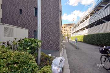 敷地東側の前面道路（南側から）