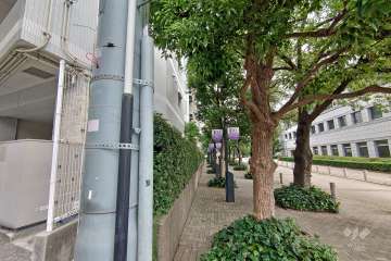 敷地南東側の前面道路（南側から）