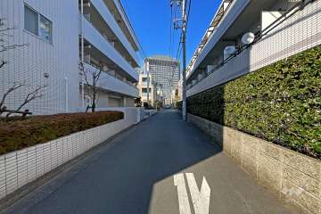 敷地東側の前面道路（南側から）