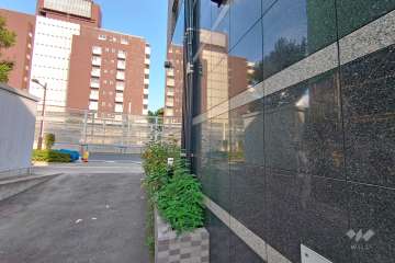 敷地北側の前面道路（西側から）