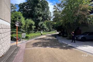 敷地東側の前面道路（北側から）