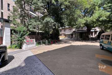 敷地南側の前面道路（西側から）