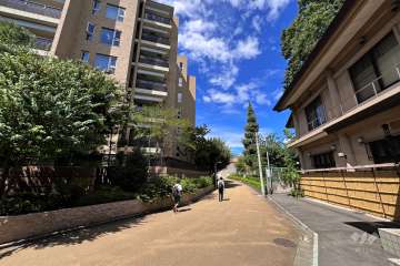 敷地南東側の前面道路（南西側から）