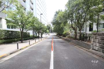 敷地南側の前面道路（西側から）