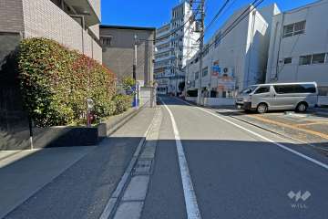 敷地南側の前面道路（西側から）