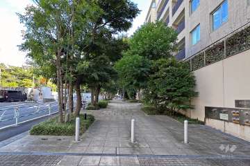 敷地の東側前面道路（北側から）