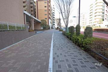 敷地東側の前面道路（南側から）