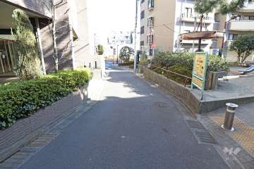 敷地南側の前面道路（西側から）