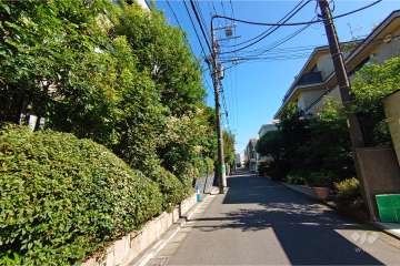 敷地南西側の前面道路（北西側から）